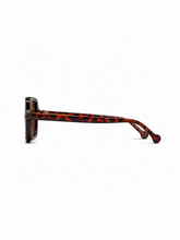 Load image into Gallery viewer, The Hudson Frames – Amber Tortoise