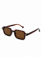 Load image into Gallery viewer, The Hudson Frames – Amber Tortoise
