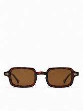 Load image into Gallery viewer, The Hudson Frames – Amber Tortoise
